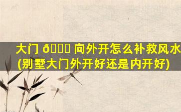 大门 🐛 向外开怎么补救风水(别墅大门外开好还是内开好)
